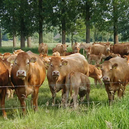 De Donkhoeve Oirschot